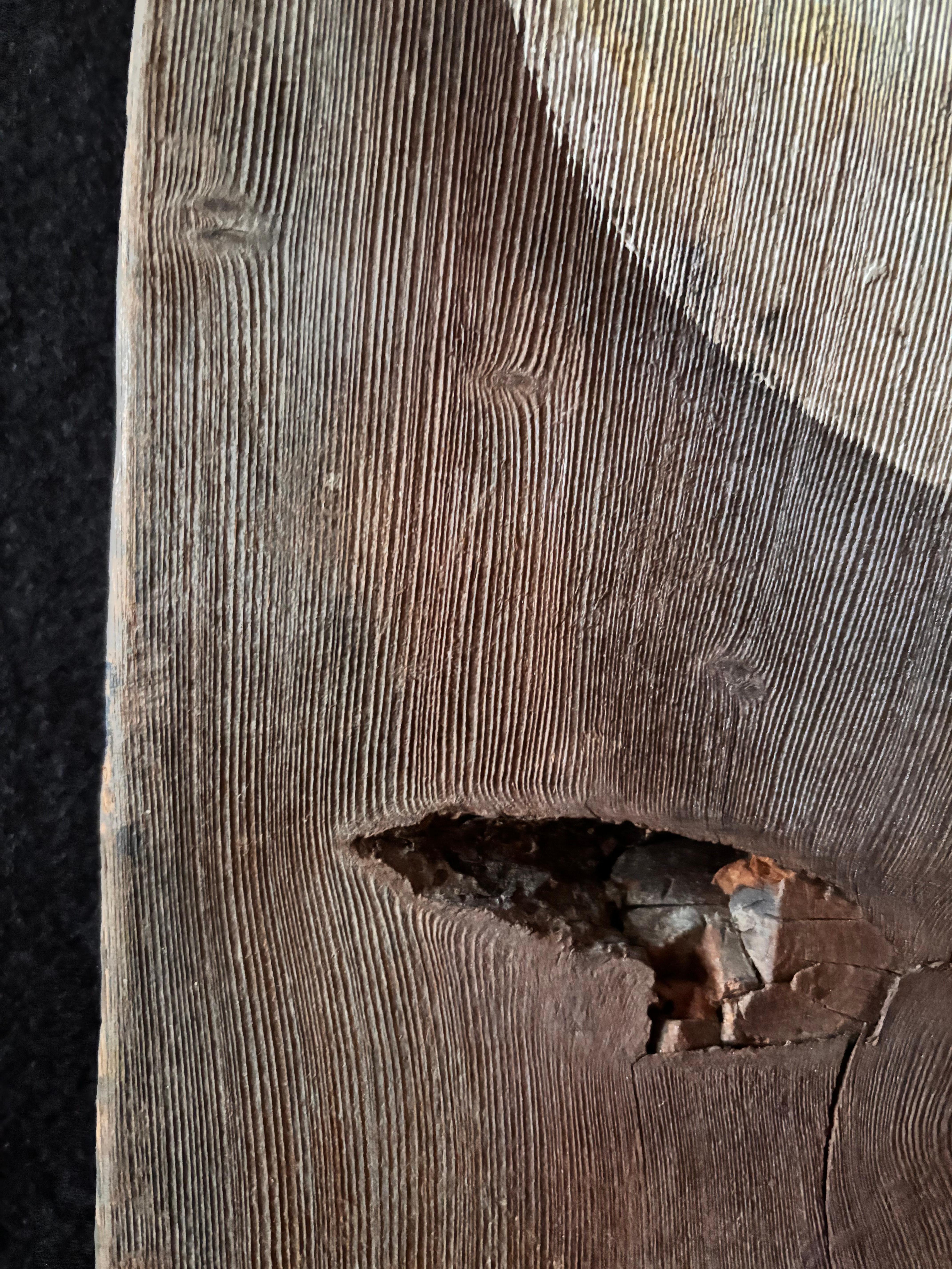 Mix-media Series: Nest-acrylic paint on rough wood For Sale 3