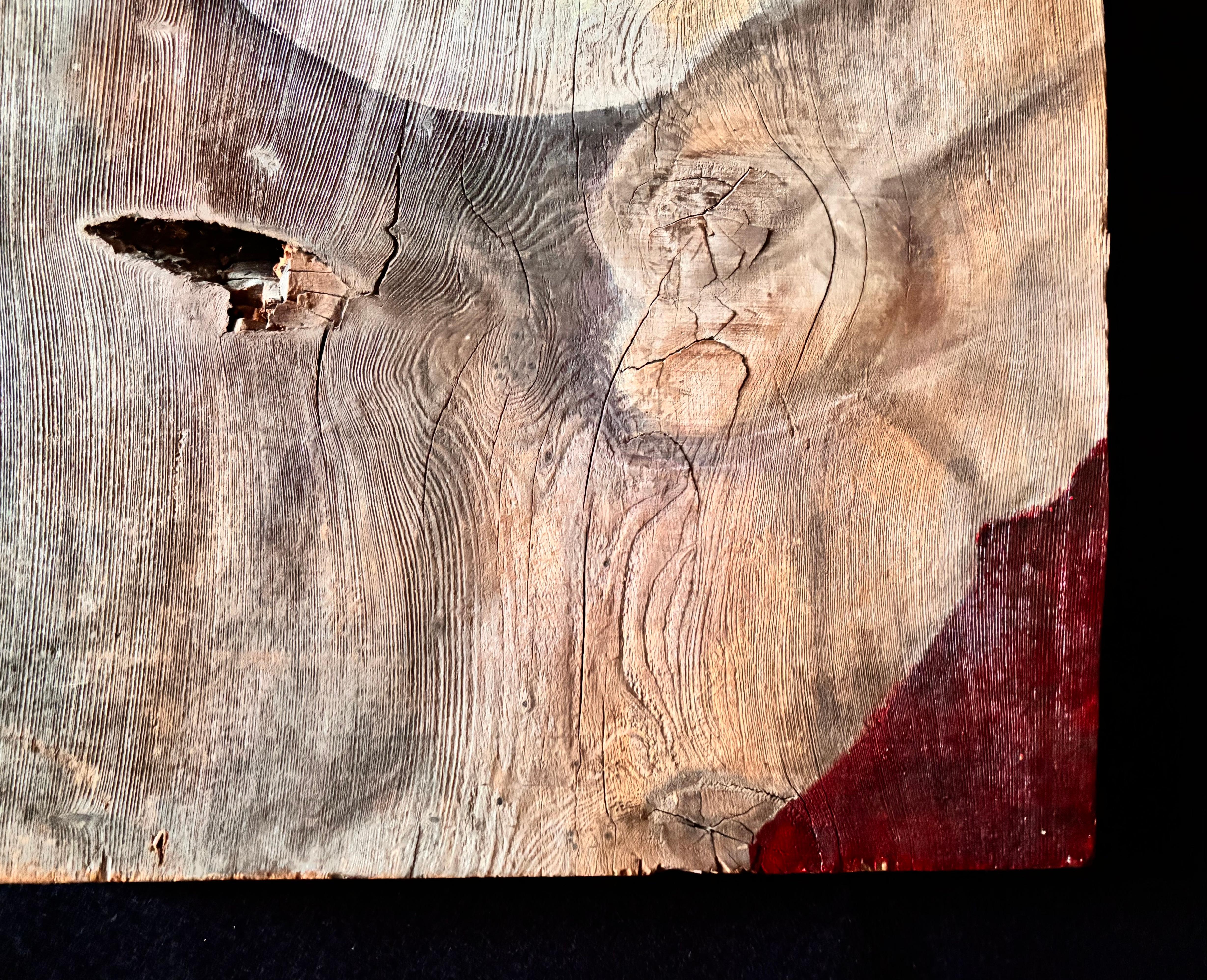 Mix-media Series: Nest-acrylic paint on rough wood For Sale 5