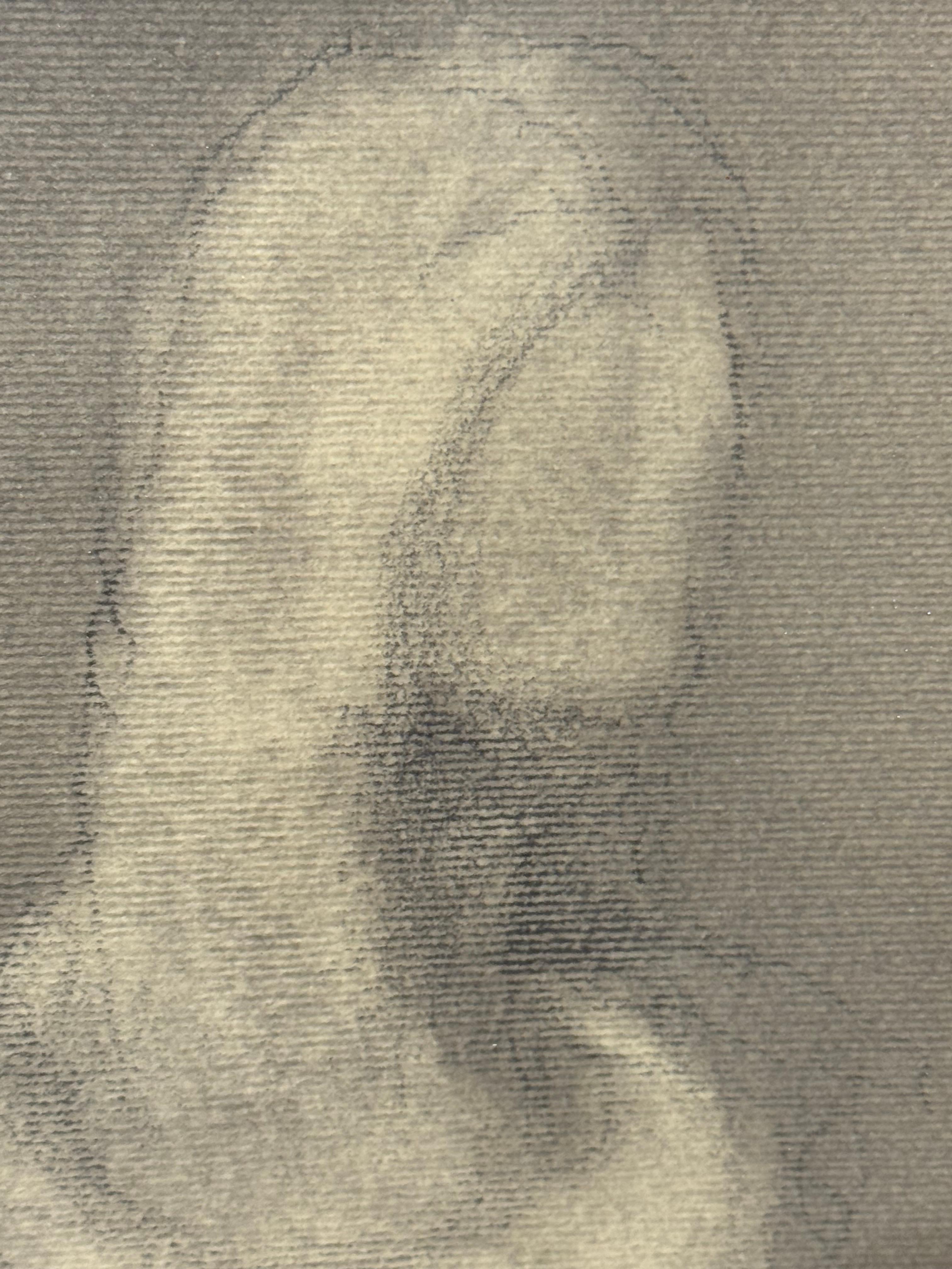 Figurative Graphite Drawing on Paper - Tres Mujeres - Pastel Colors - Framed - Contemporary Art by Amilcar Rivera M.