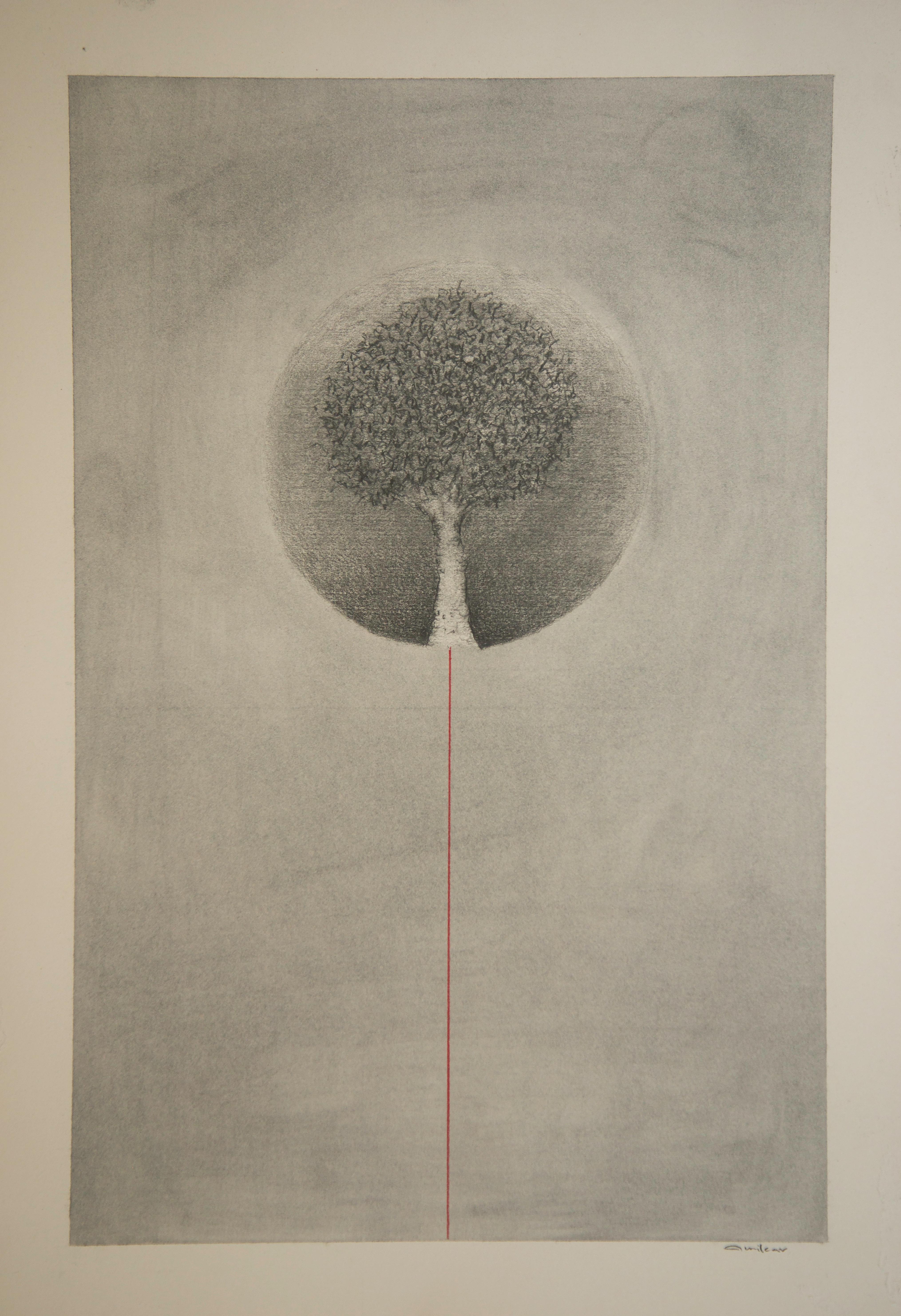 Minimalist Tree, Original Graphite Contemporary Abstract Drawing on Paper