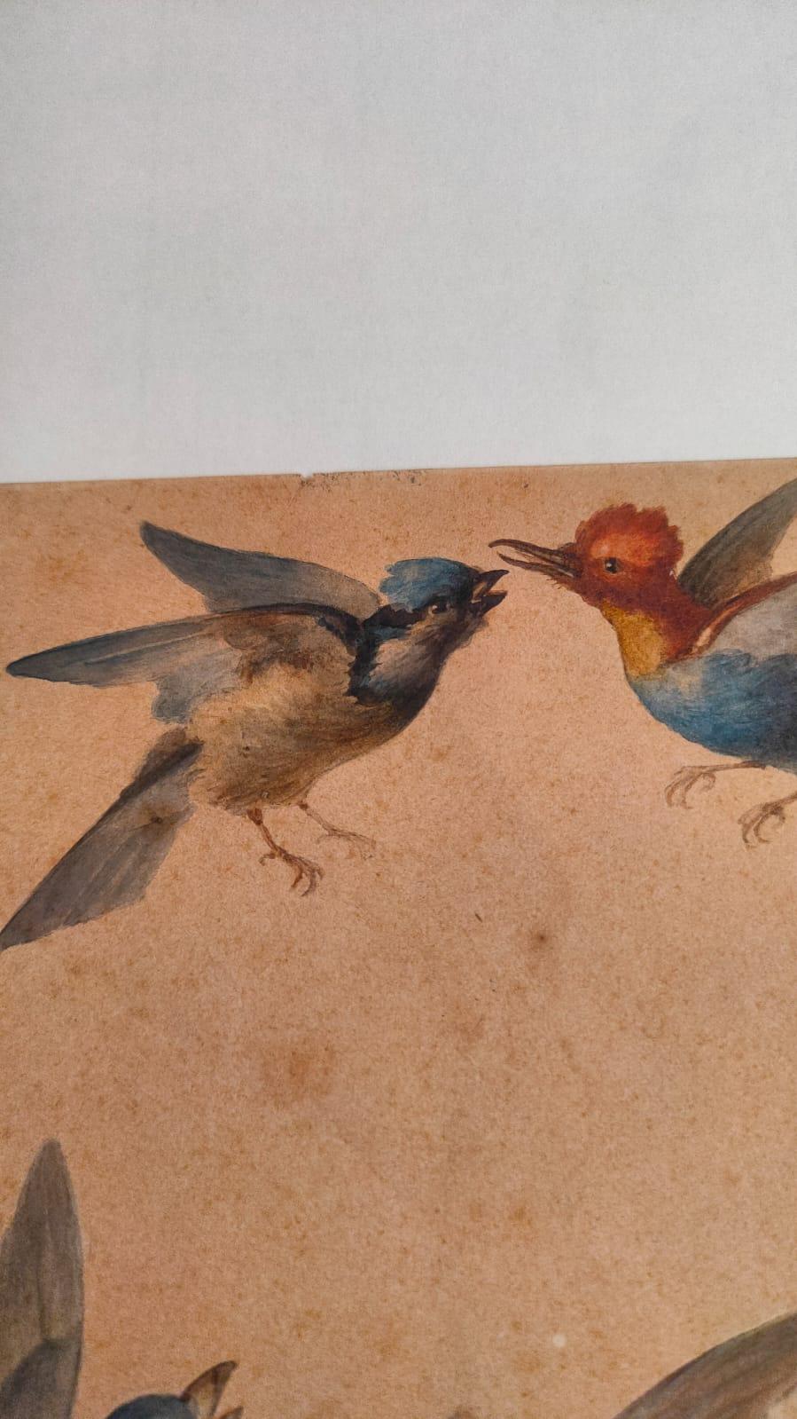 Study of fourteen birds For Sale 9