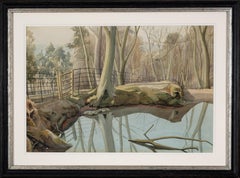 Woodland-Szene mit einem Gewässer