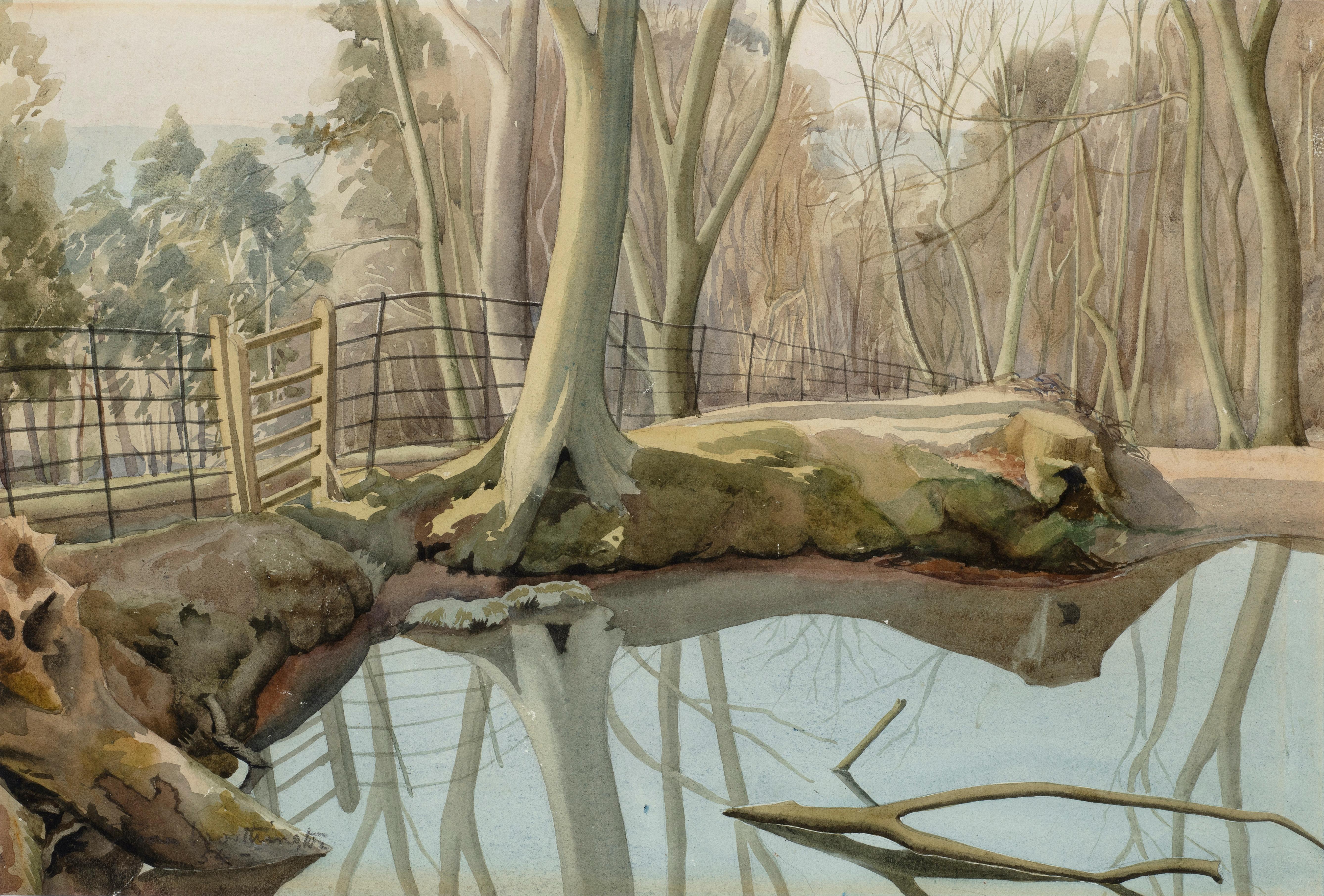Escena de bosque con una masa de agua - Art de John Nash