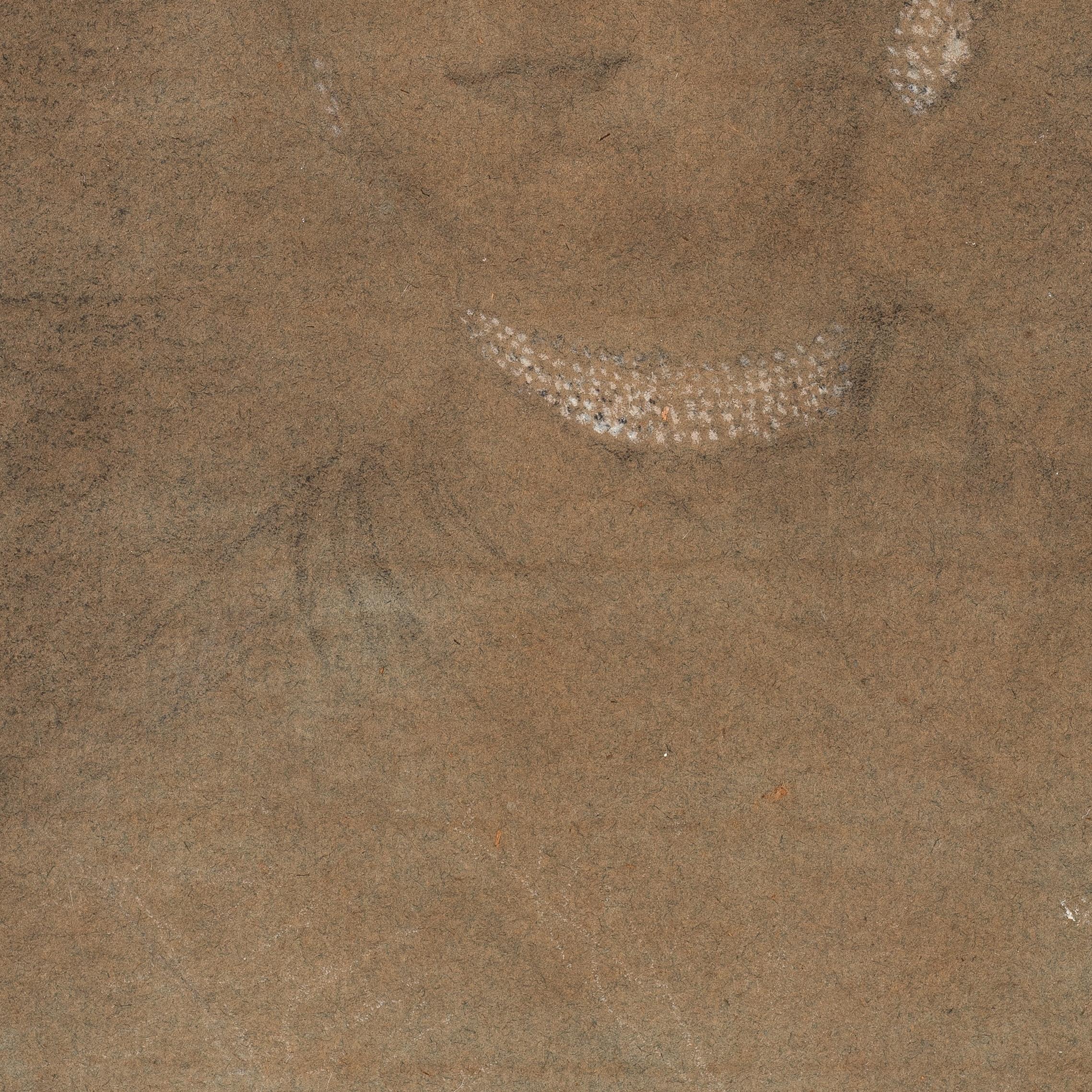 Studio di busto di una signora alla moda, 1760 ca. - Portrait Marrone di Robert Healy