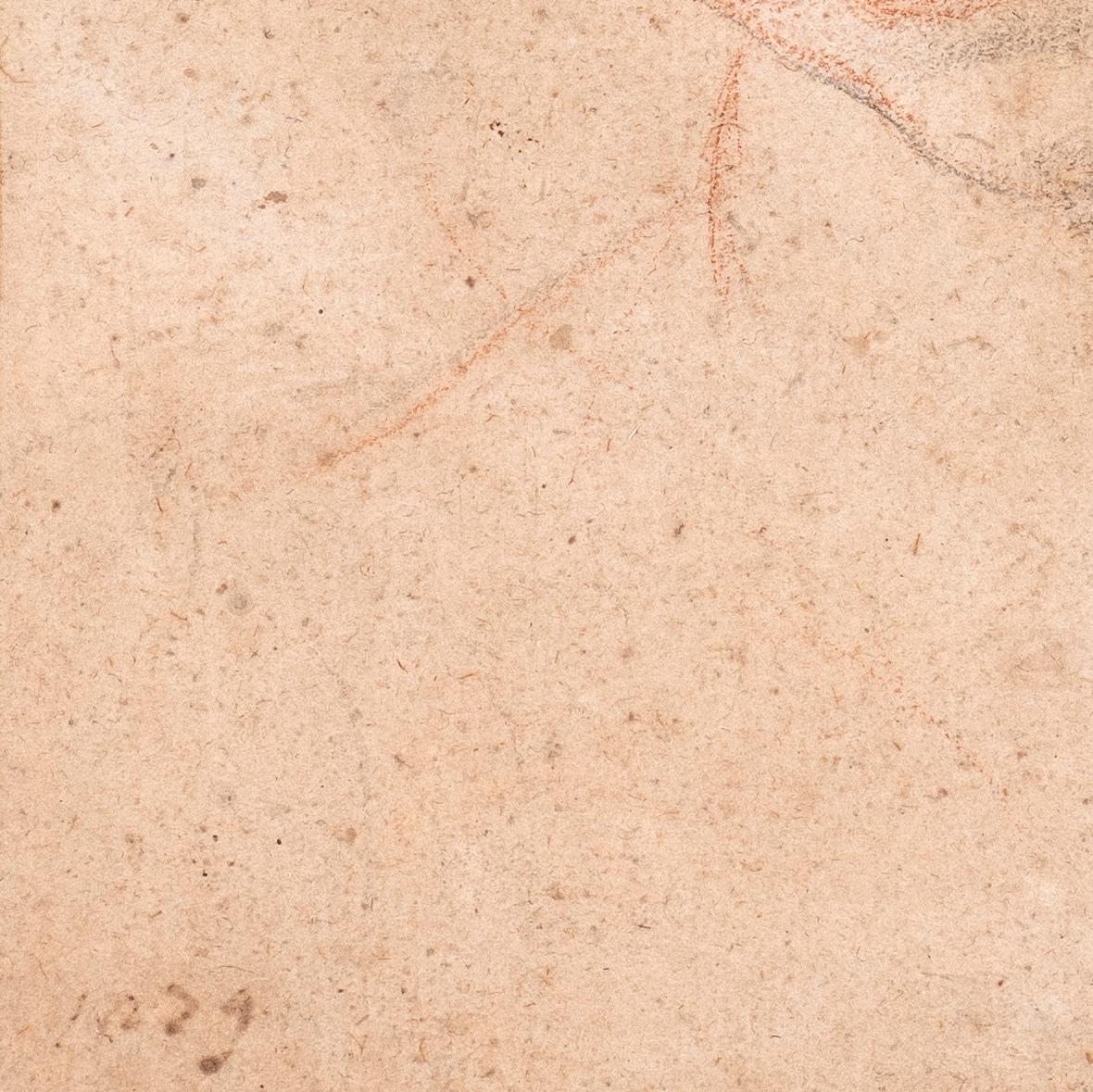 Studio di una testa femminile, con lo sguardo rivolto verso il basso in vendita 2