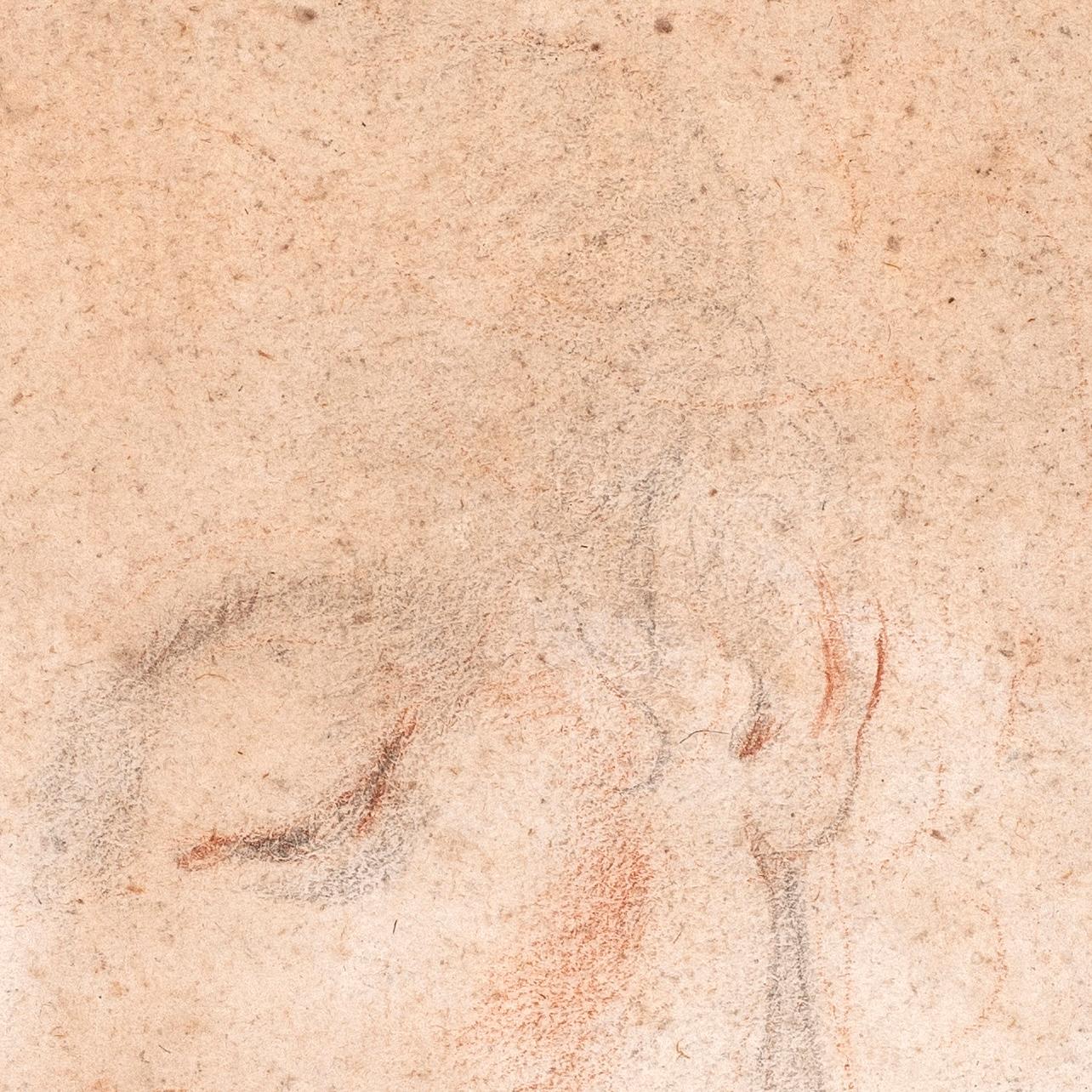 Giovanni Battista Vanni (1599-1660), 1629 ca.
Studio di una testa femminile, con lo sguardo rivolto verso il basso
Gesso nero e sanguigna su carta vergata, entro linee di inquadramento parziali in inchiostro rosso (iscrizione n. 13 verso)
21,6 x 15