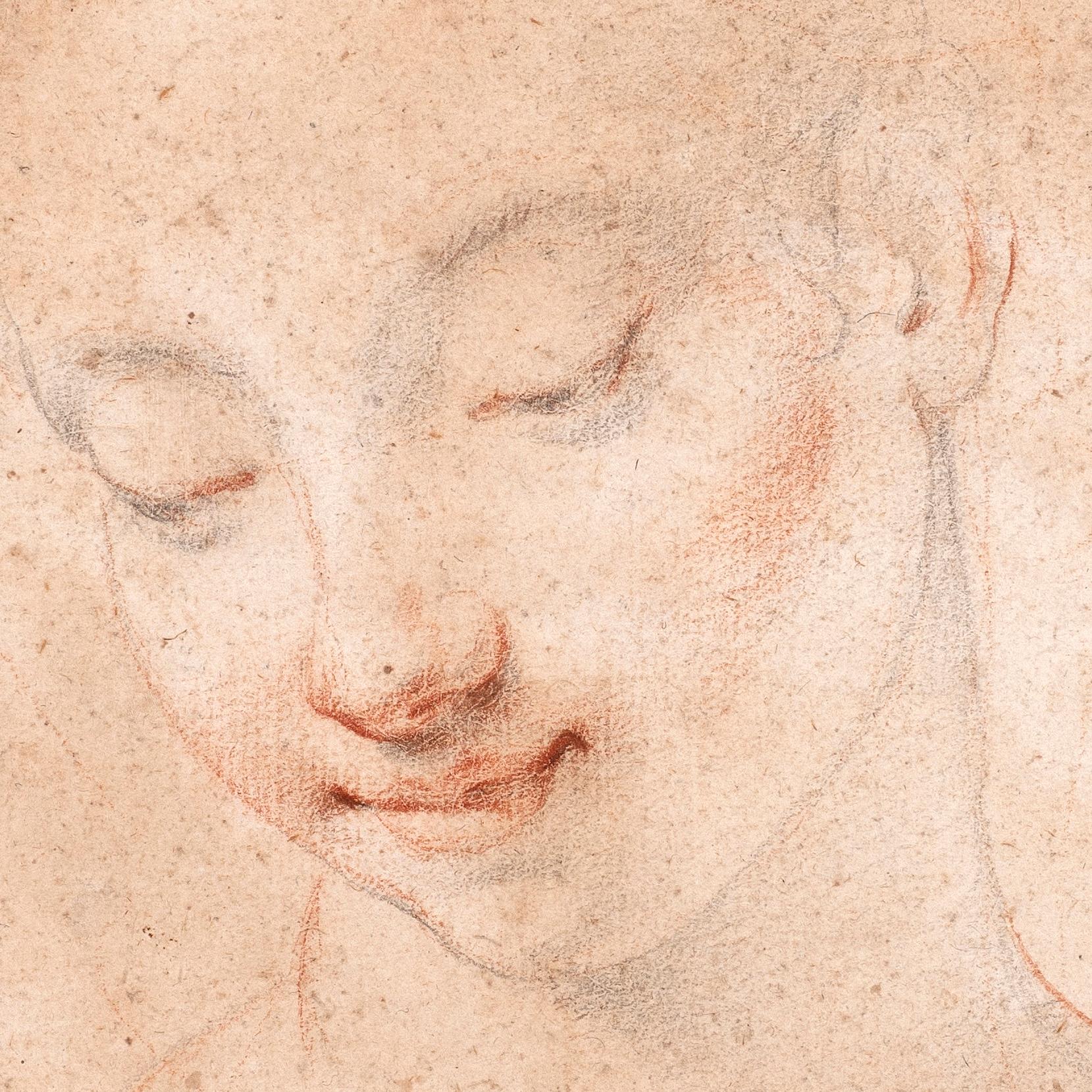 Studio di una testa femminile, con lo sguardo rivolto verso il basso - Portrait Beige di Giovanni Battista Vanni