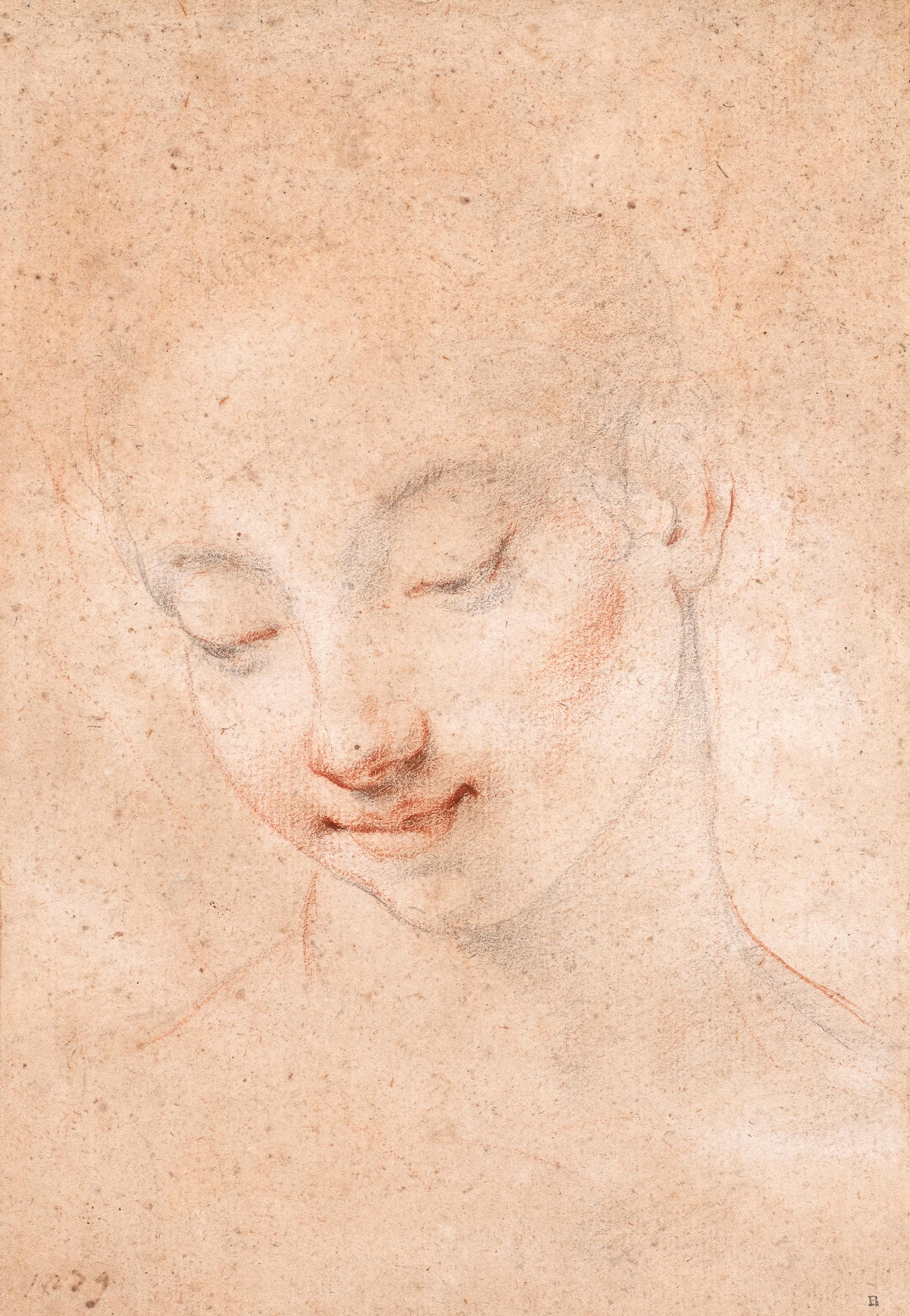 Studio di una testa femminile, con lo sguardo rivolto verso il basso - Art Barocco di Giovanni Battista Vanni