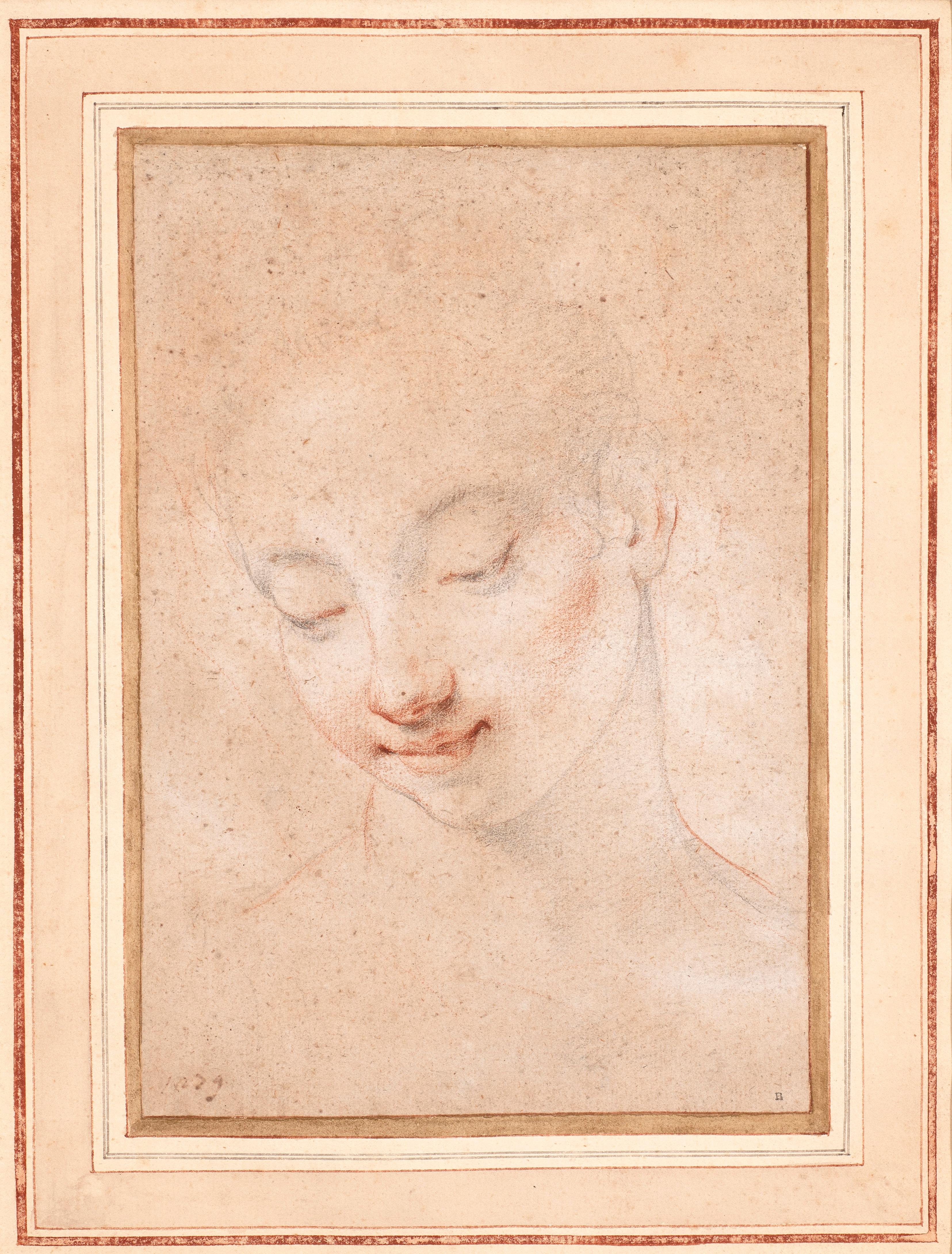 Studio di una testa femminile, con lo sguardo rivolto verso il basso - Art di Giovanni Battista Vanni