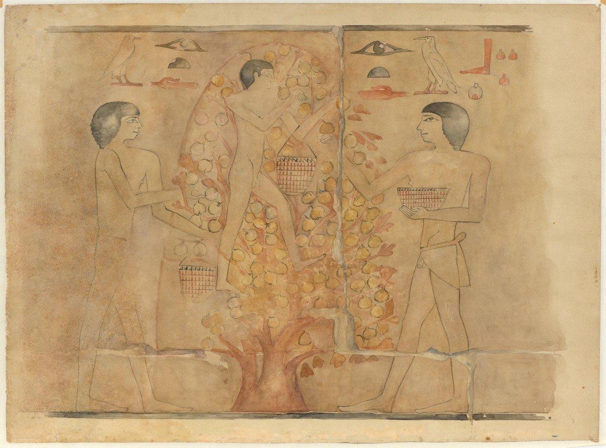 Three Studies of Mastaba of Ty - Saqqara, Egypt - Art by Lucienne Epron