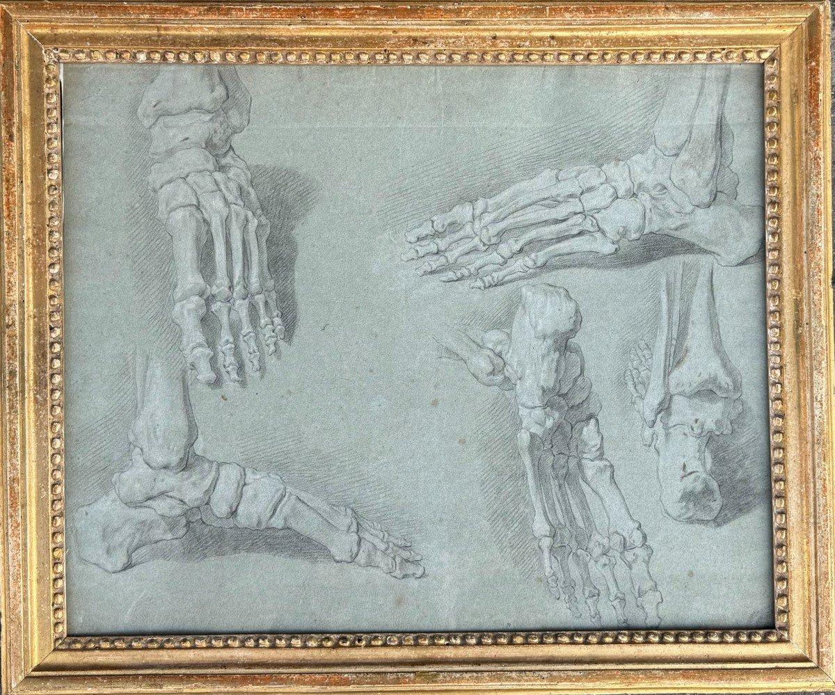 Französische Schule des 18. Jahrhunderts - Studie eines Fußskeletts – Art von Unknown
