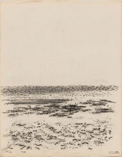 Plage Paysage marin