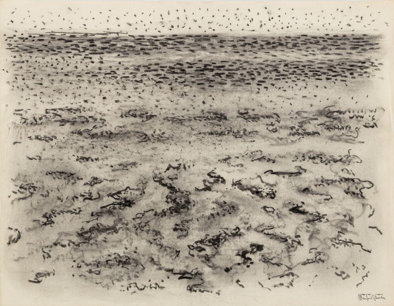 Strand Seelandschaft
