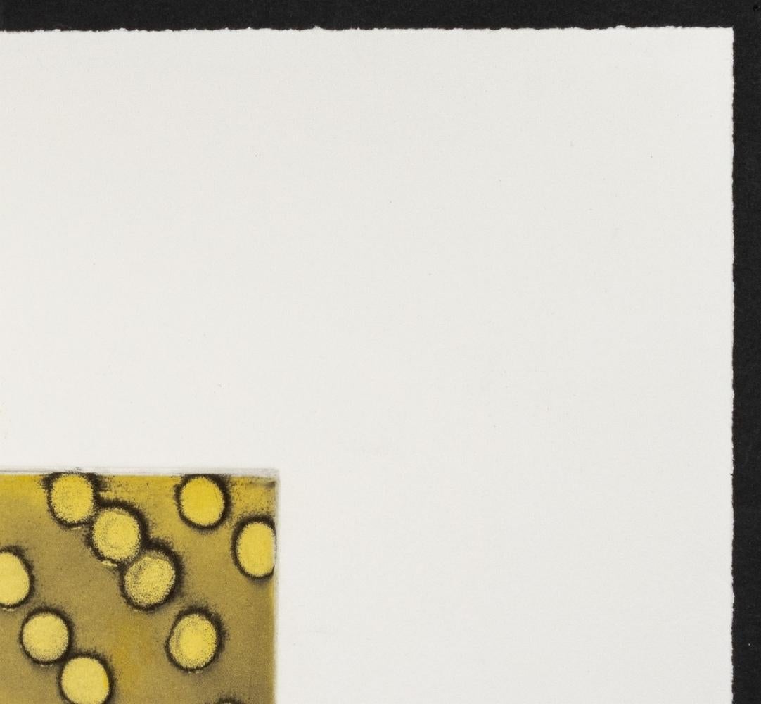 Ross Bleckner „Selection Sequence“ Radierung im Angebot 4