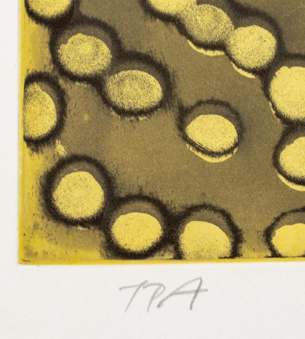 Ross Bleckner „Selection Sequence“ Radierung im Angebot 3