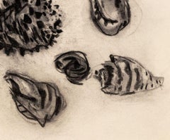 Natura morta di conchiglie