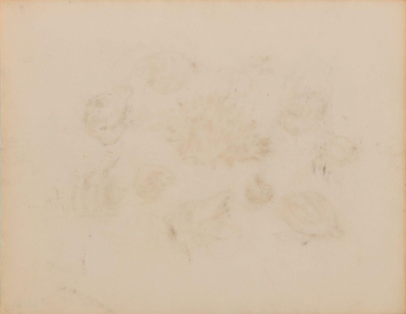 Still Life of Seashells - Still-Life Beige de Manfred Schwartz