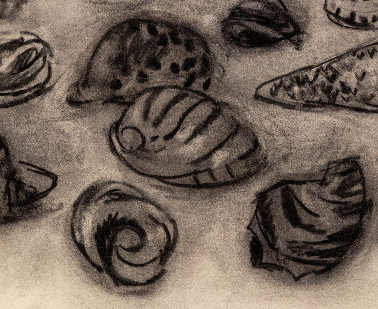 Still Life of Seashells - Art de Manfred Schwartz