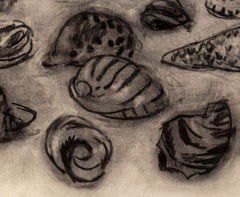 Still Life of Seashells, Modern Charcoal on Paper, Mid-20th Century