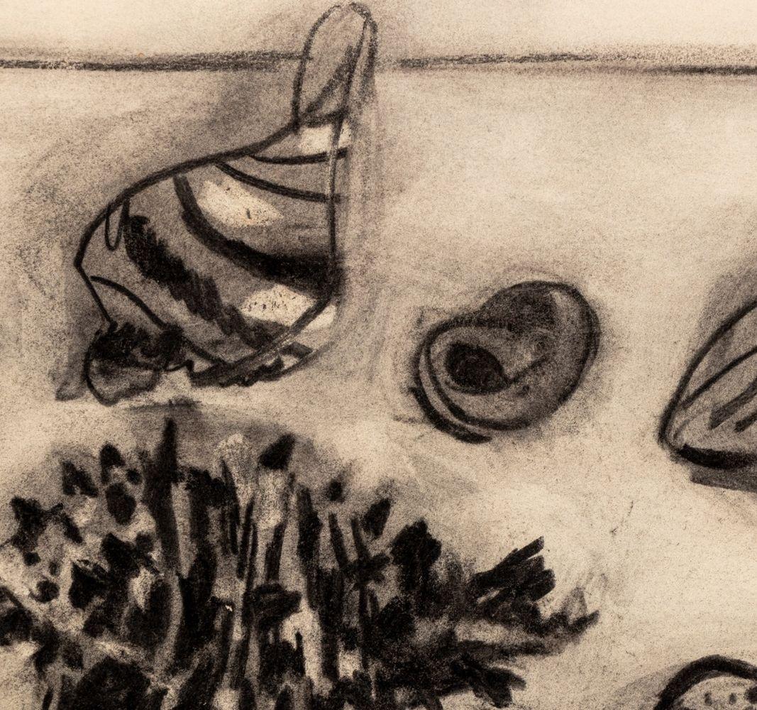 Bodegón de conchas marinas - Art de Manfred Schwartz