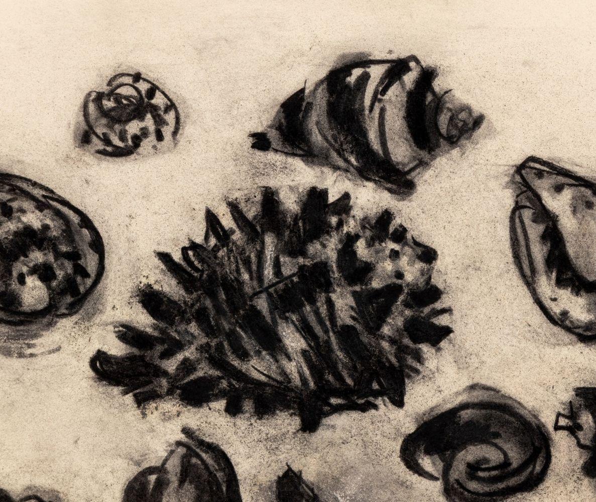 Still Life of Seashells - Art by Manfred Schwartz