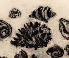 Stilleben mit Muscheln