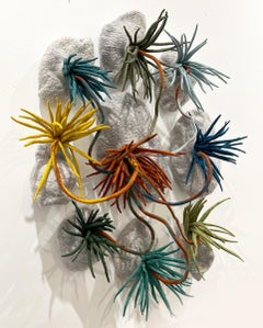 Symbiotic
