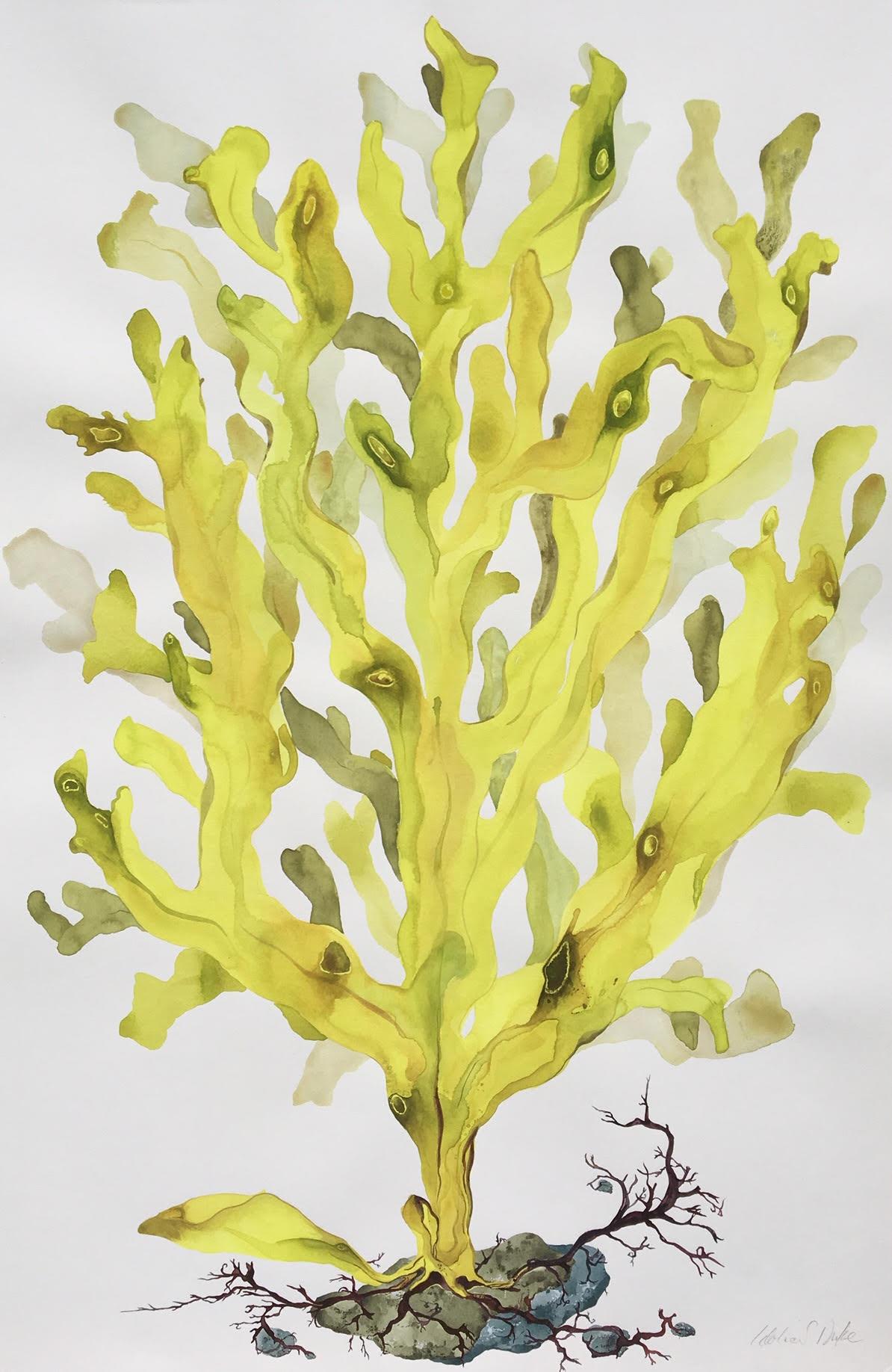 Idoline Duke Abstract Drawing - Yellow Seaweed