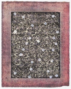 Storie (C68)