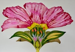 Amapola rosa imaginada