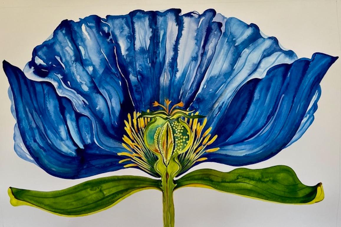 Flor Dibujos y acuarelas