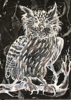 Night Owl