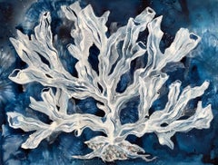 Deep Coral