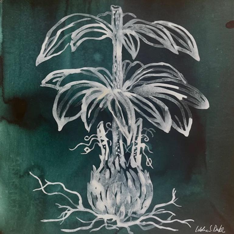 Botanica IV