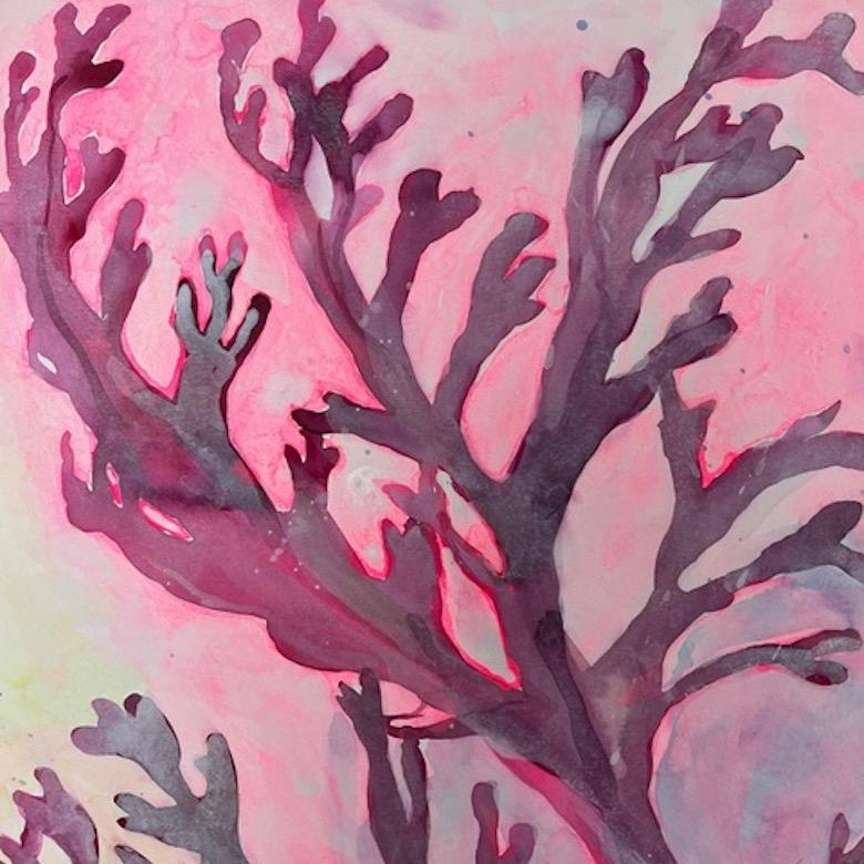 Alga rosa immaginata I