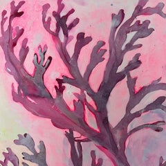 Alga rosa immaginata I