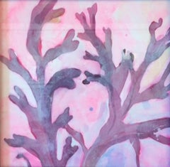 Alga rosa immaginata II