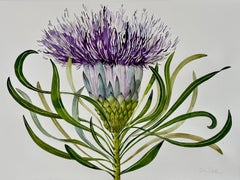Winter Wildflower