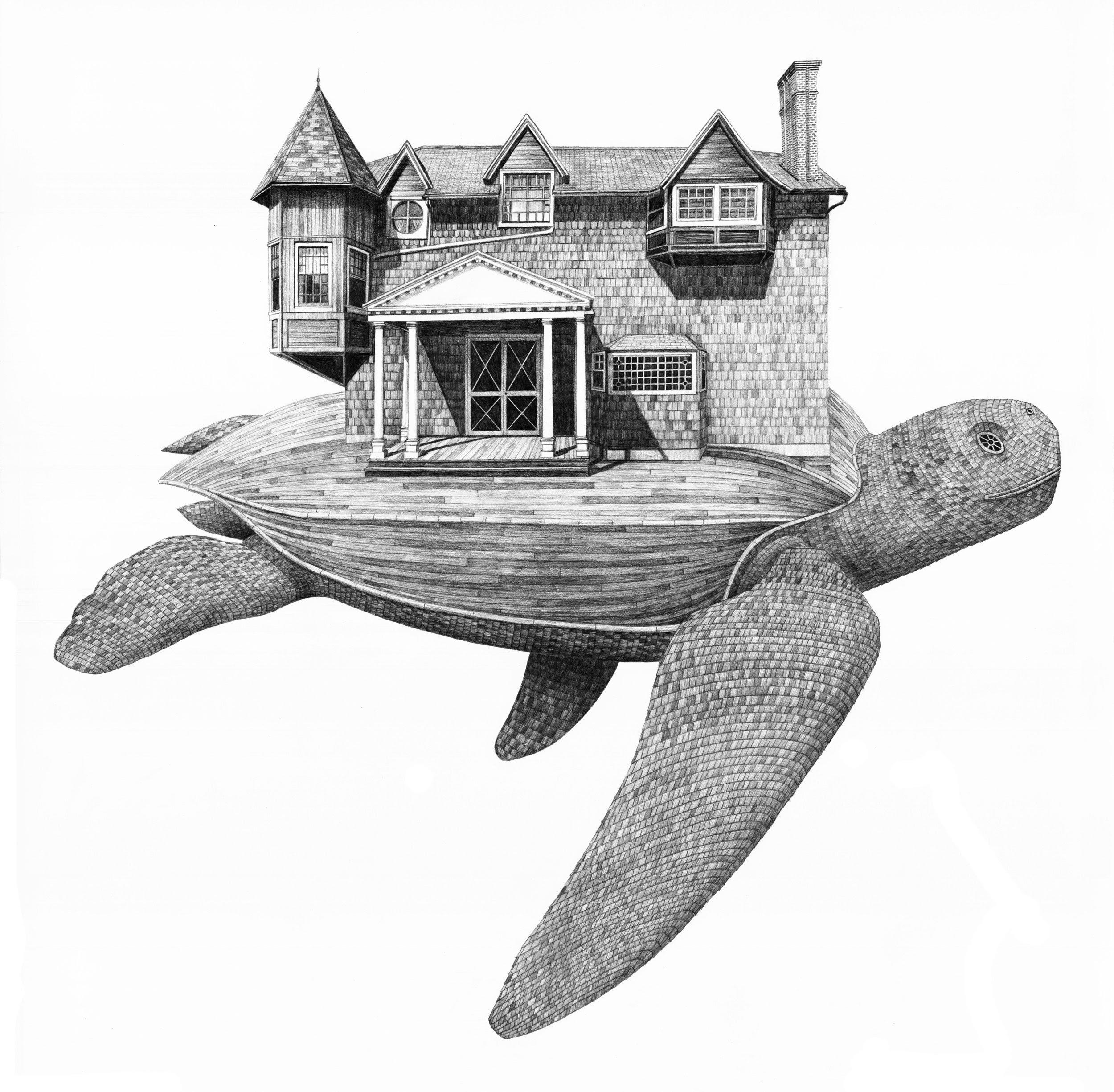 scott bluedorn Figurative Print - Moran's Turtle