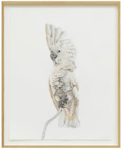 Schrödingers Bird 14