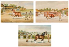 Paint Animal Drawings and Watercolors