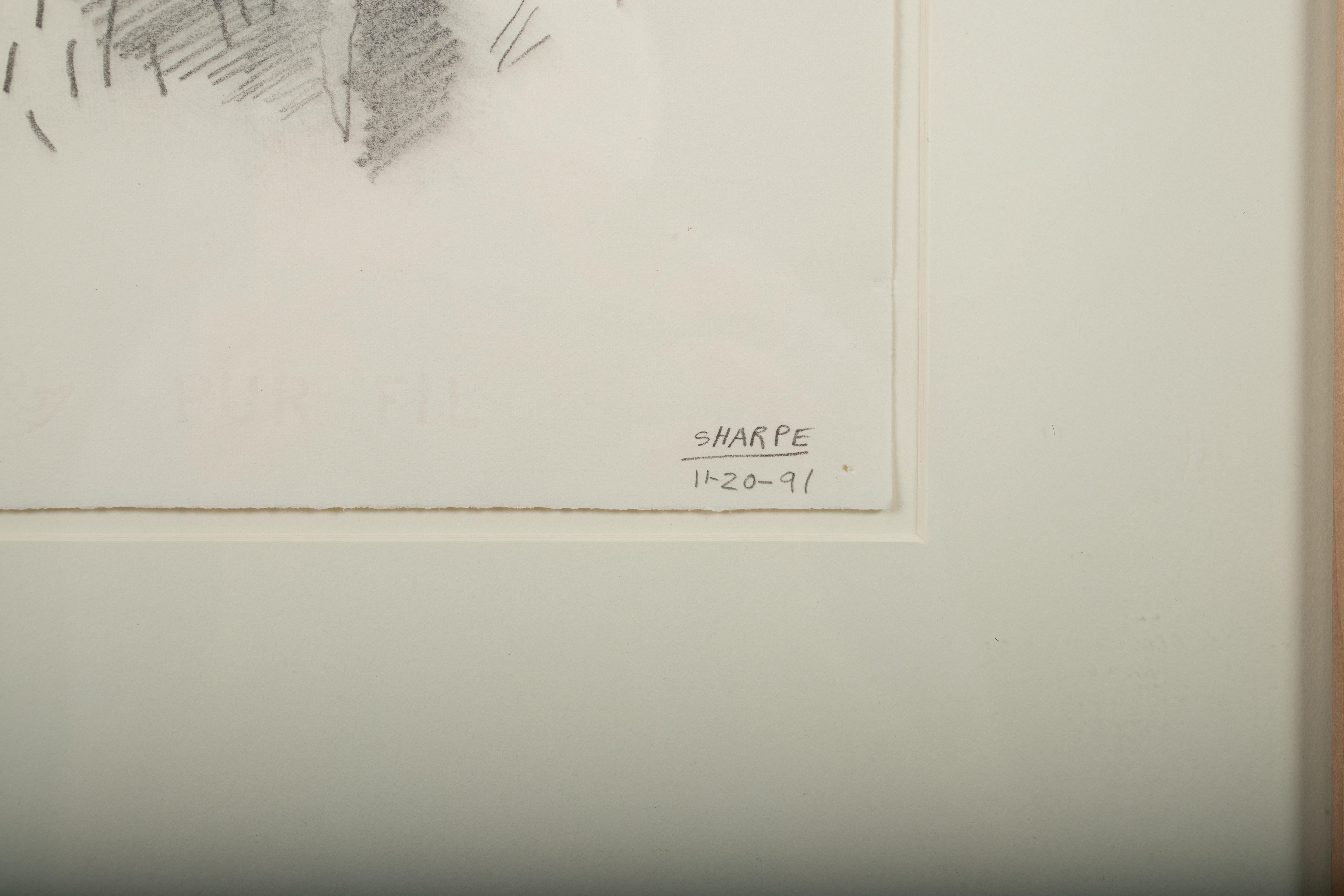 David Sharpe, second-generation Chicago Imagist — 1991 figurative portrait, graphite on paper.

A psychologically charged head-and-shoulders portrait rendered entirely in graphite, emphasizing Sharpe’s incisive draftsmanship. Without color, the