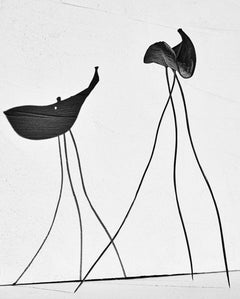 Studio dell'equilibrio
