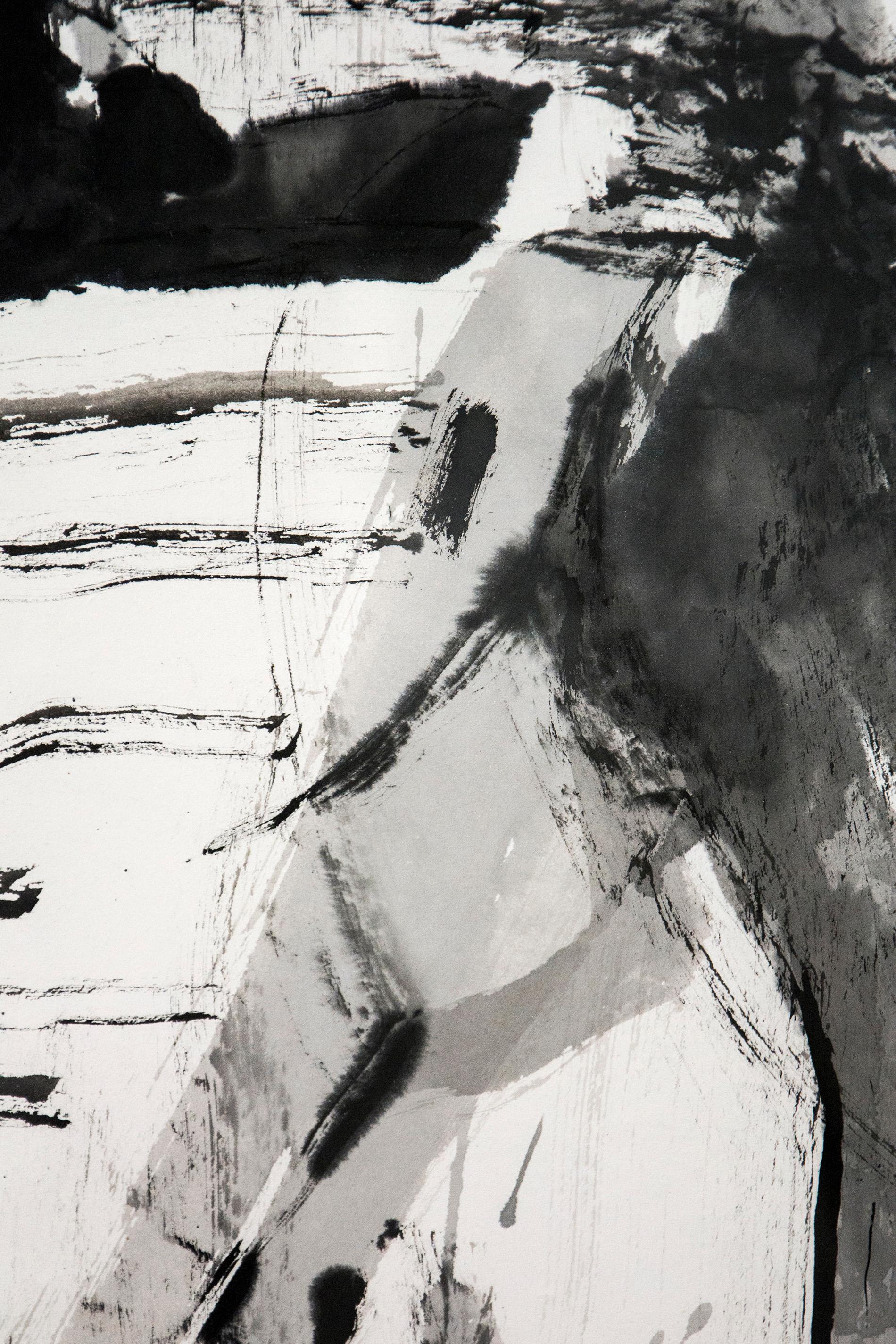 Whiting - noir, blanc, abstraction figurative, encre brossée sur papier en vente 2
