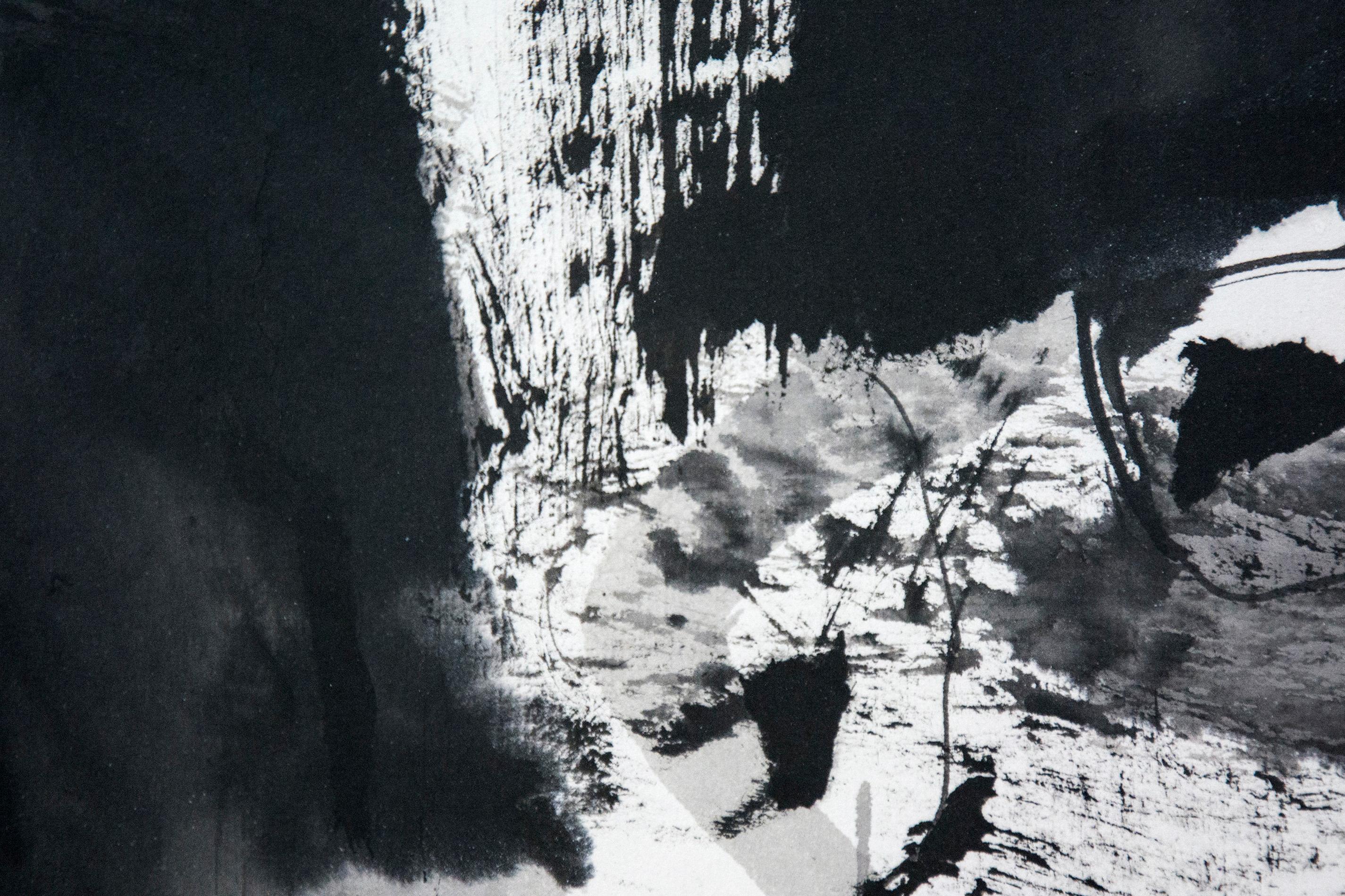 Whiting - noir, blanc, abstraction figurative, encre brossée sur papier en vente 1