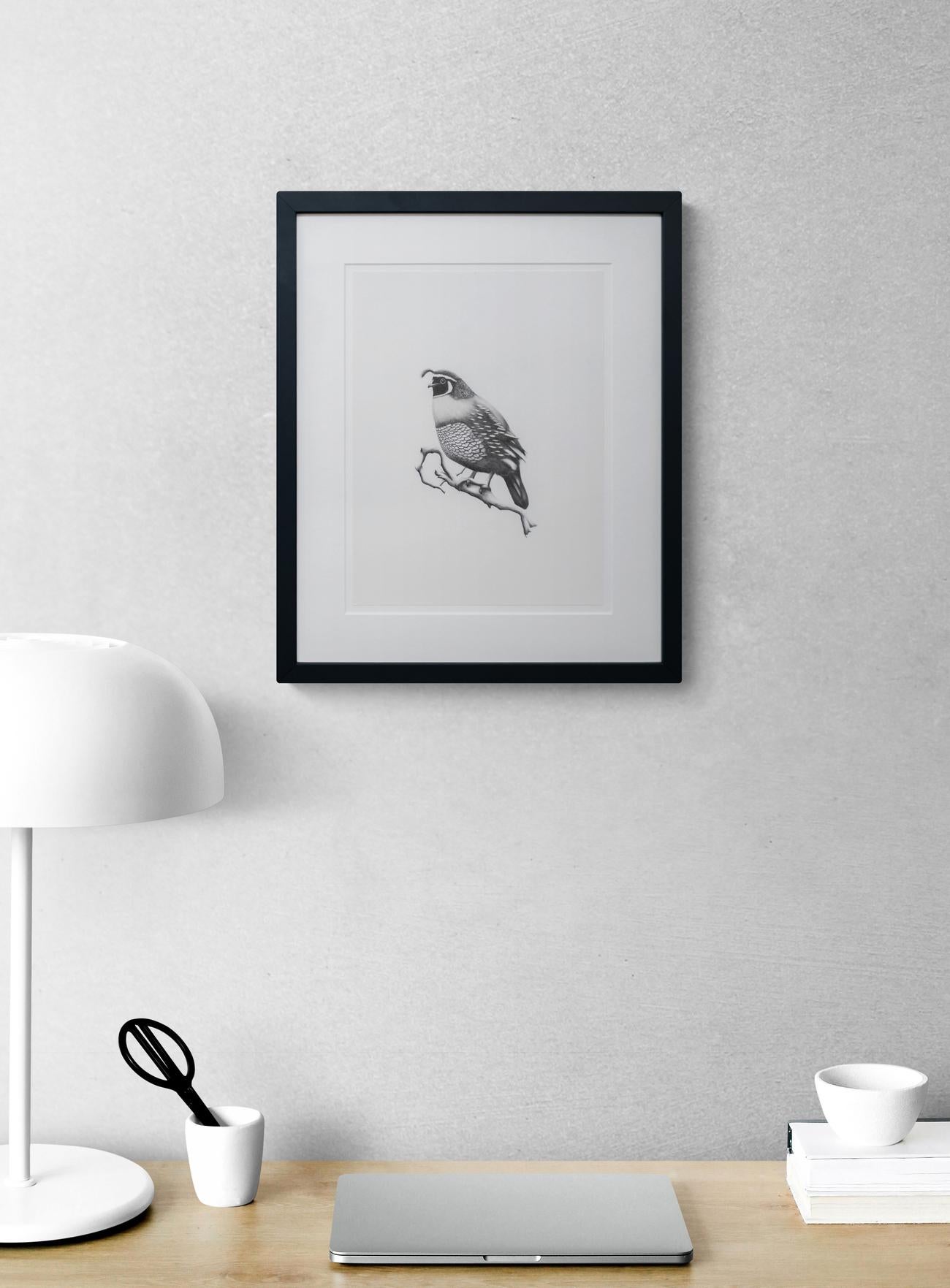 Étude (oiseau noueux) - figuratif, animal, dessin, fusain sur papier 3