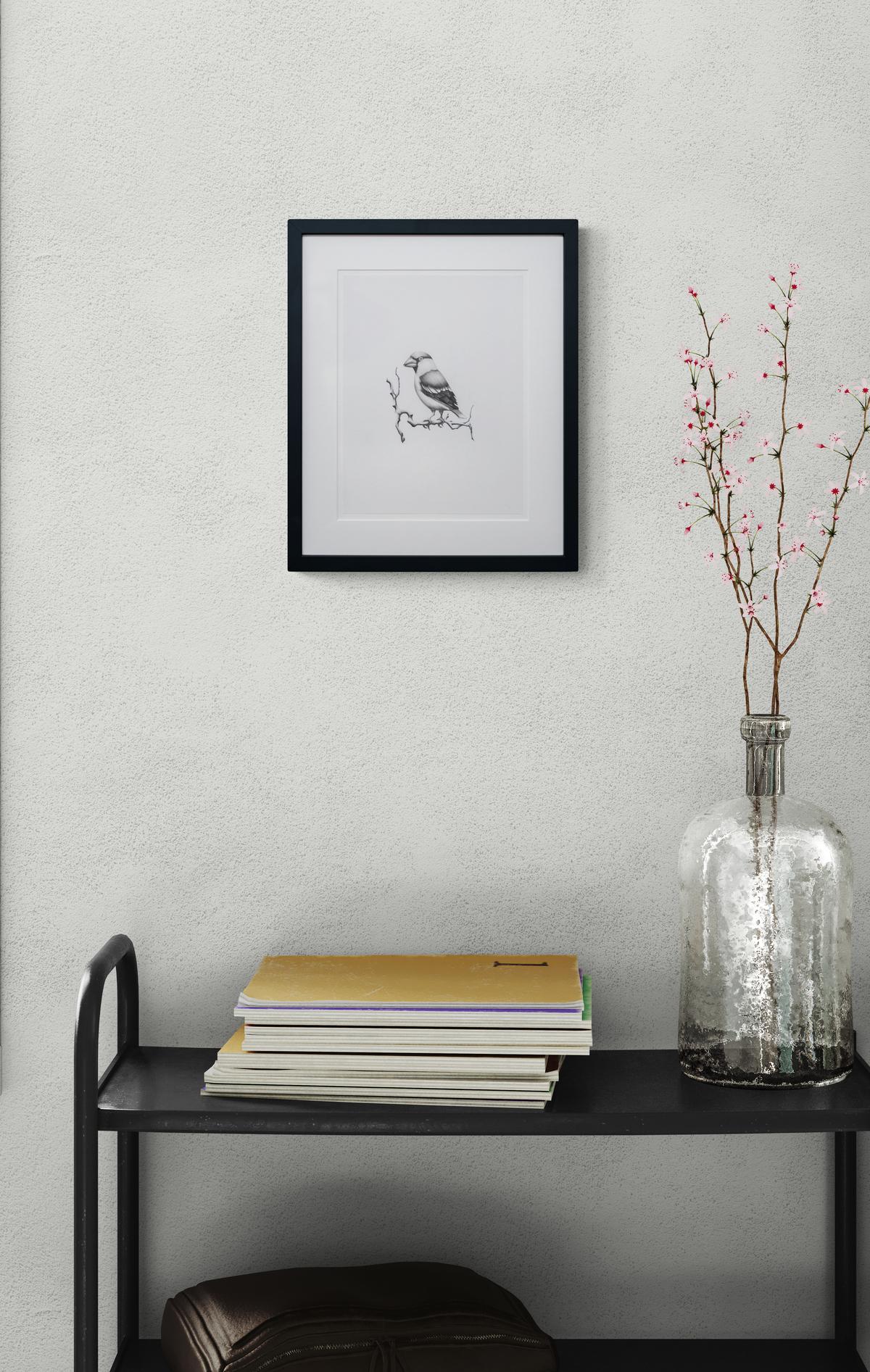 Étude (oiseau en gros bec) - figuratif, animal, dessin, fusain sur papier 3
