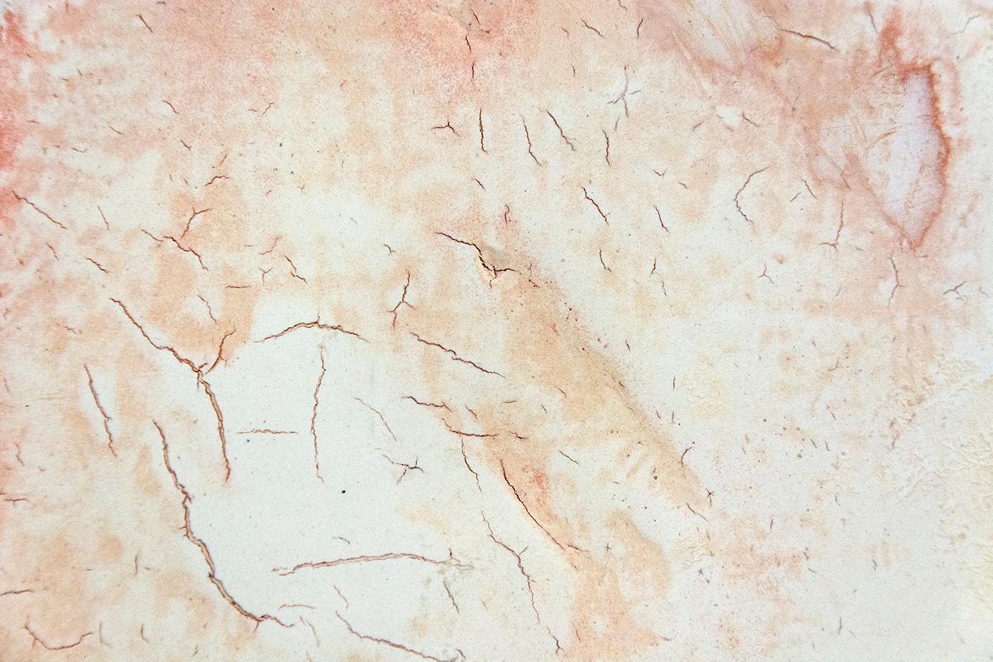 And island of burnished rose with flecks of crimson and gold floats on a ground of cloud white in this contemplative abstraction by Jutta Naim. The suggestive marks in the dynamic ground soaked in light grey brings to mind ancient, fossilized spines