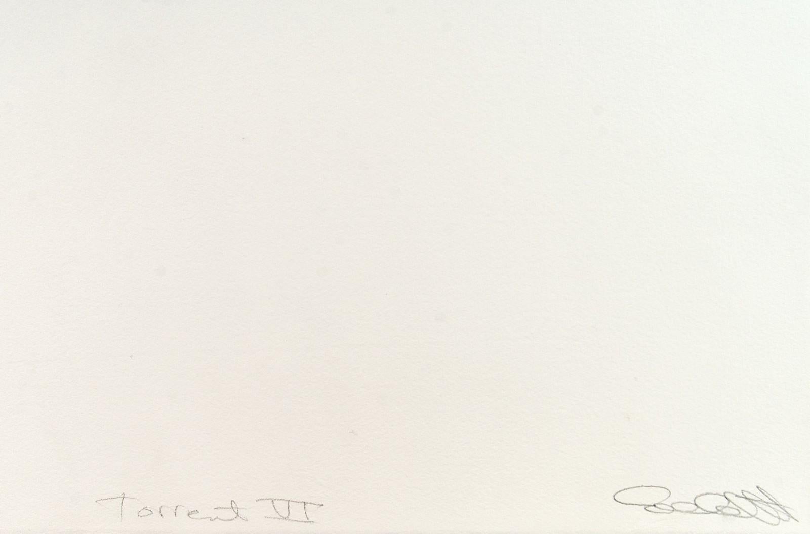 Torrent VI - goffrato, organico, inchiostro ad olio, astratto, monoprint su carta d'archivio - Art Contemporaneo di Susan Collett