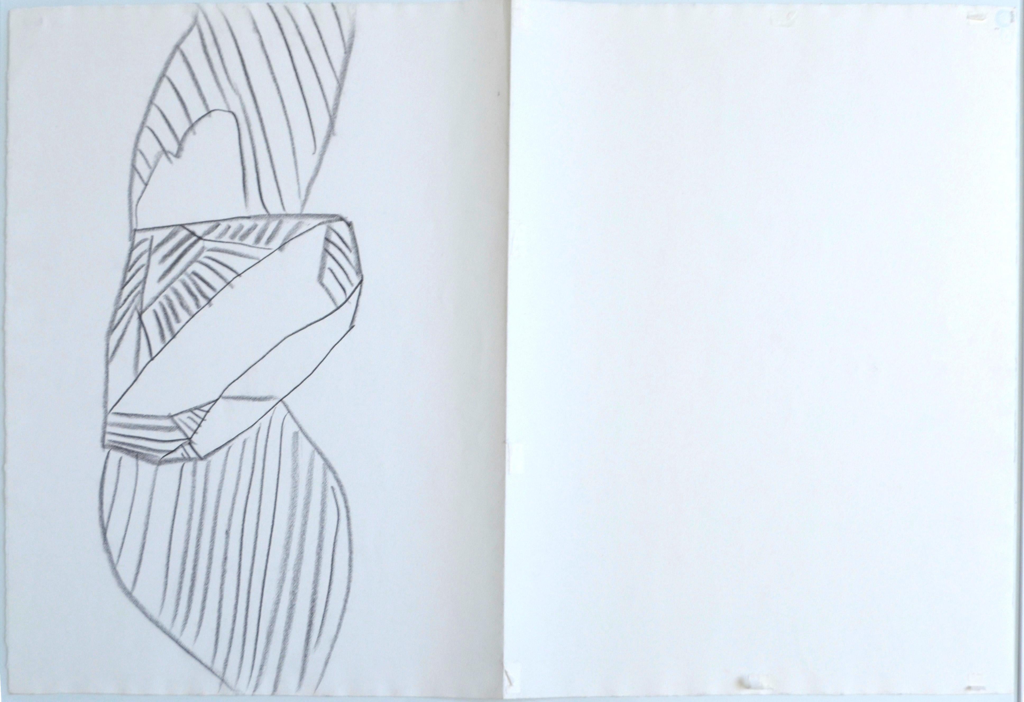 Andy Warhol (1928-1987)
Gem (circa 1980)

Original graphite drawing on paper, folded
20.75 x 28.5 in (52.7 x 72.4 cm)
Unsigned

Authenticated by the Authentication Board of Andy Warhol Foundation for the Visual Arts (stamp on verso), Foundation